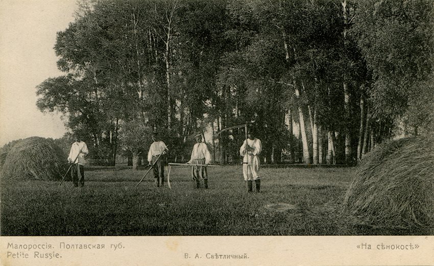 �������� ������� �� �������� XIX-XX ��.