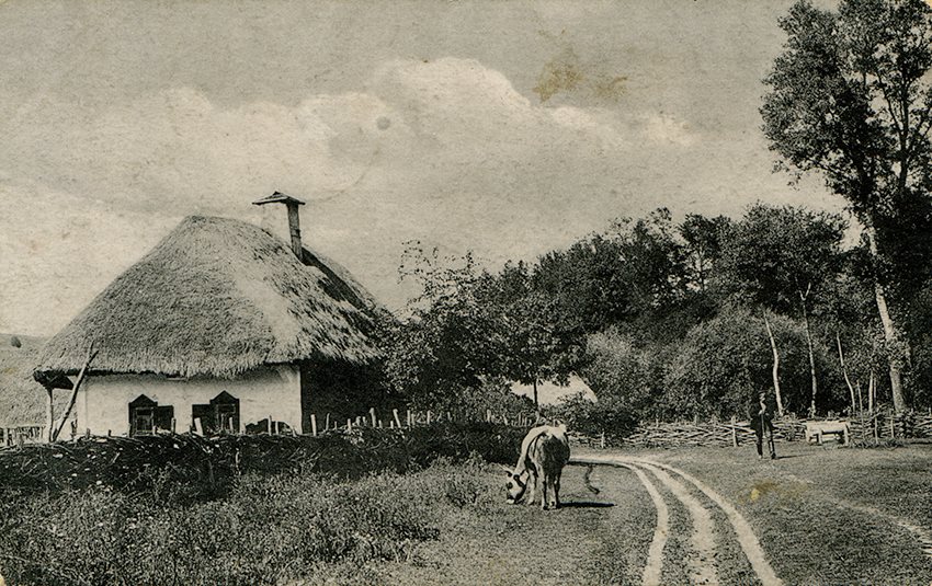 �������� ������� �� �������� XIX-XX ��.